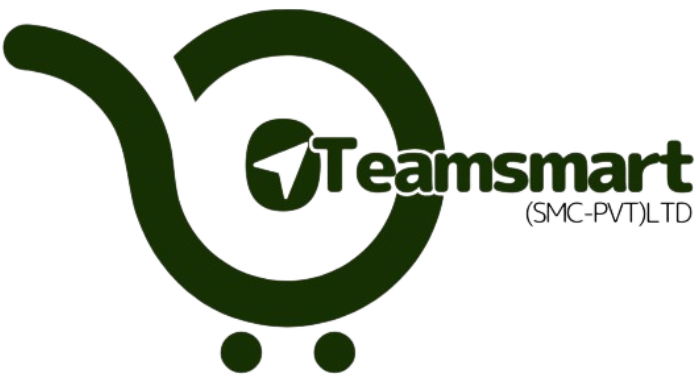 teamsmartz.com